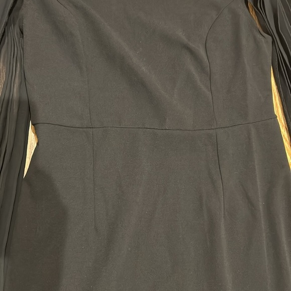Black Pleated Sleeve Dress - Picture 8 of 10
